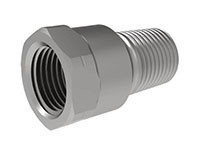 1/8 Inch (in) British Standard Pipe (BSP) Female to 1/8 Inch (in) British Standard Pipe Thread (BSPT) Male Adapter