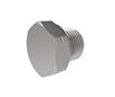 1/8 Inch (in) British Standard Parallel Pipe (BSPP) Male Sealing Plug